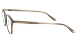 Hampton Olive Tortoise