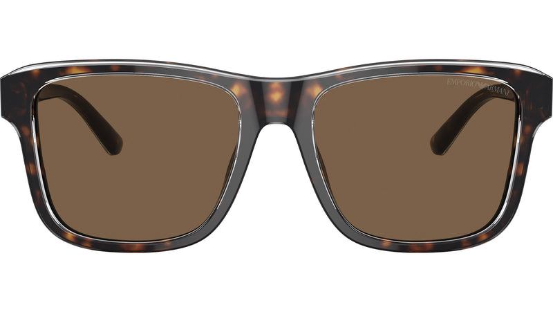 EA4208 605273 Tortoise