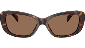 RA5322U 500313 Dark Havana