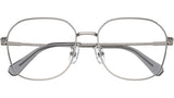 SK1009D 4010