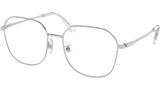 SK1009D 4001