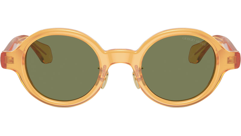 AR 8205 60632A Honey