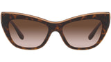 DG 4417 325613 tortoise