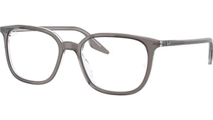 RB5406 Optics 8111