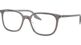 RB5406 Optics 8111