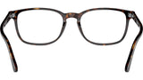 RB5418 Optics 2012