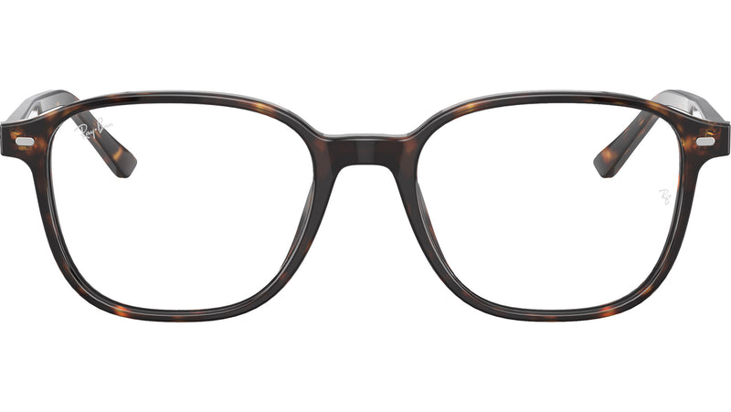 Leonard Optics RB5393 2012