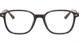 Leonard Optics RB5393 2012