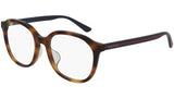 GG0932OA 002 shiny tortoise