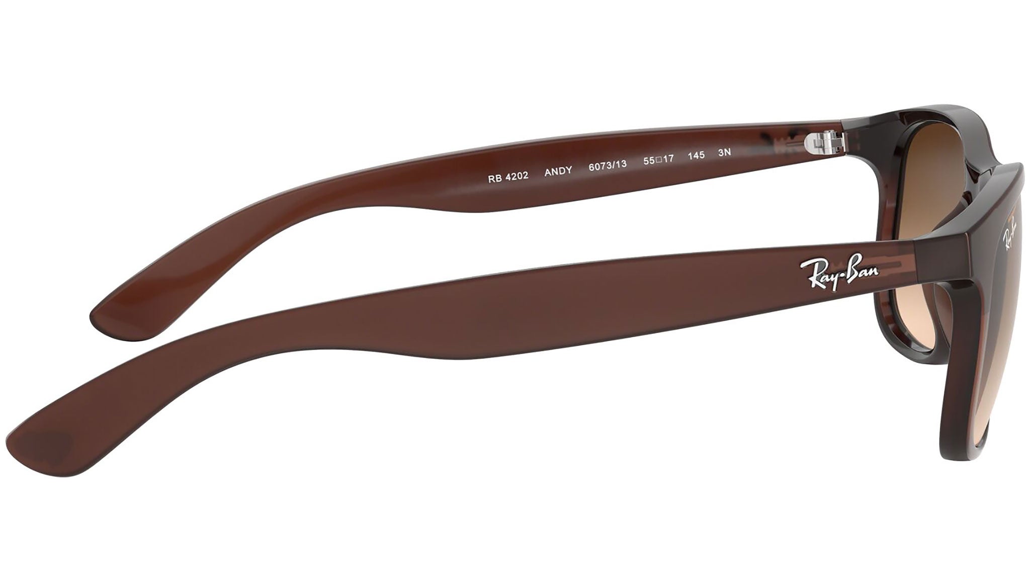 Andy RB4202 607313 matte brown on brown