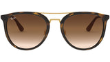 RB4285 tortoise and brown